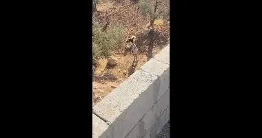 המטרה - להציג את ממשלת נתניהו באור חיובי: היועץ האמריקני הבכיר ששכתב דוחות | תחקיר 