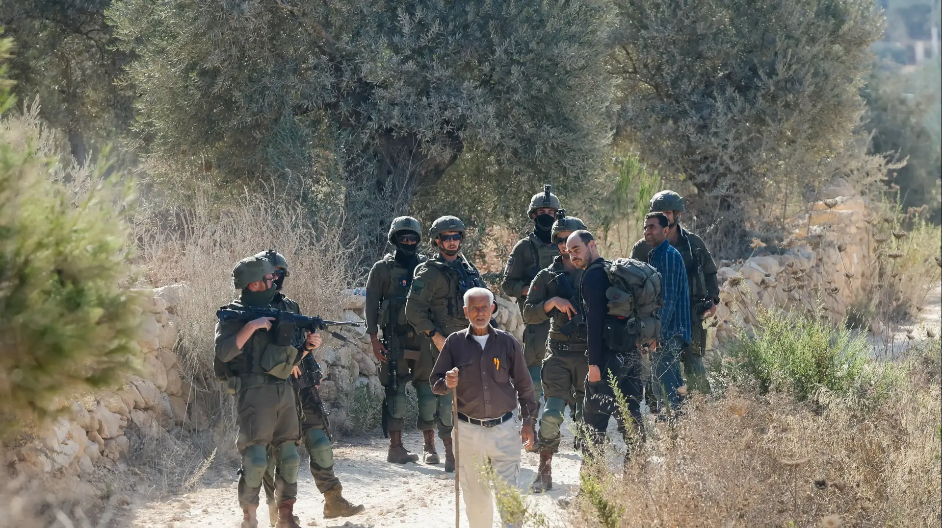 חיילים מאלצים פלסטינים לעזוב מטעי זיתים בבעלות פלסטינית במהלך עונת המסיק, בכפר ביתא שליד שכם חיילים מאלצים פלסטינים לעזוב מטעי זיתים בבעלות פלסטינית במהלך עונת המסיק, בכפר ביתא שליד שכם