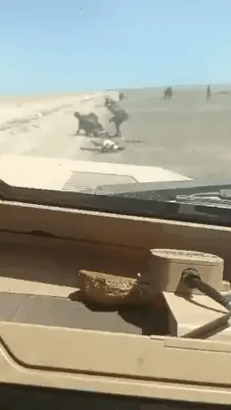 שכירי חרב של דאעש, המזוהים עם כוחות סעודיים, שחררו אסירים לשעבר