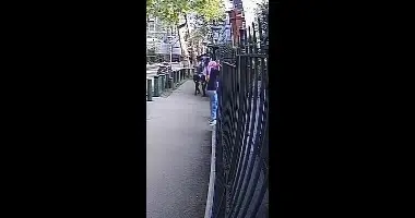 חמוש בסכינים ו"מכתב שאהיד": מאסר עולם למחבל שניסה לפרוץ לשגרירות ישראל