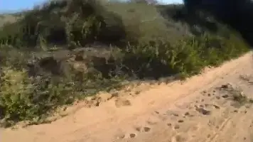 המנוסה הקטלנית ברכב הגנוב: כך נתפס השב”ח בת״א החשוד שפגע למוות ברוכב אופניים 