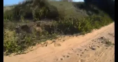 המנוסה הקטלנית ברכב הגנוב: כך נתפס השב”ח בת״א החשוד שפגע למוות ברוכב אופניים המנוסה הקטלנית ברכב הגנוב: כך נתפס השב”ח בת״א החשוד שפגע למוות ברוכב אופניים