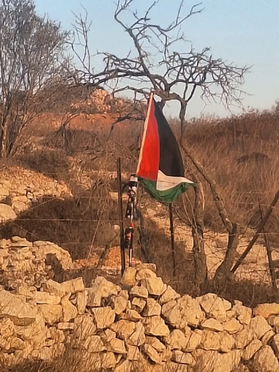 חפצים חשודים עם דגלי אש״ף אותרו בבנימין: כך הסתיימה הבדיקה | וואלה חדשות