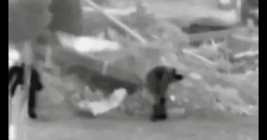 תיעוד של מחבלים המטמינים מטען מחוץ לבית החולים 'כמאל עדואן'