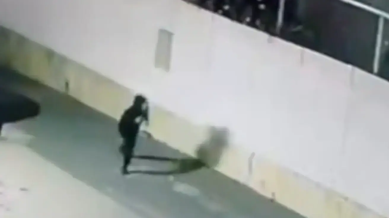 תיעוד ממצלמת האבטחה: אדם משליך רימון הלם לעבר ביתו של מנכ״ל עיריית אלעד אמנון מקסימוב