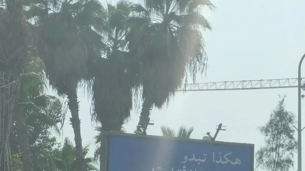 השופט נעם סולברג, הורה לרשויות המקומיות להסיר את שלטי התעמולה של הליכוד השופט נעם סולברג, הורה לרשויות המקומיות להסיר את שלטי התעמולה של הליכוד