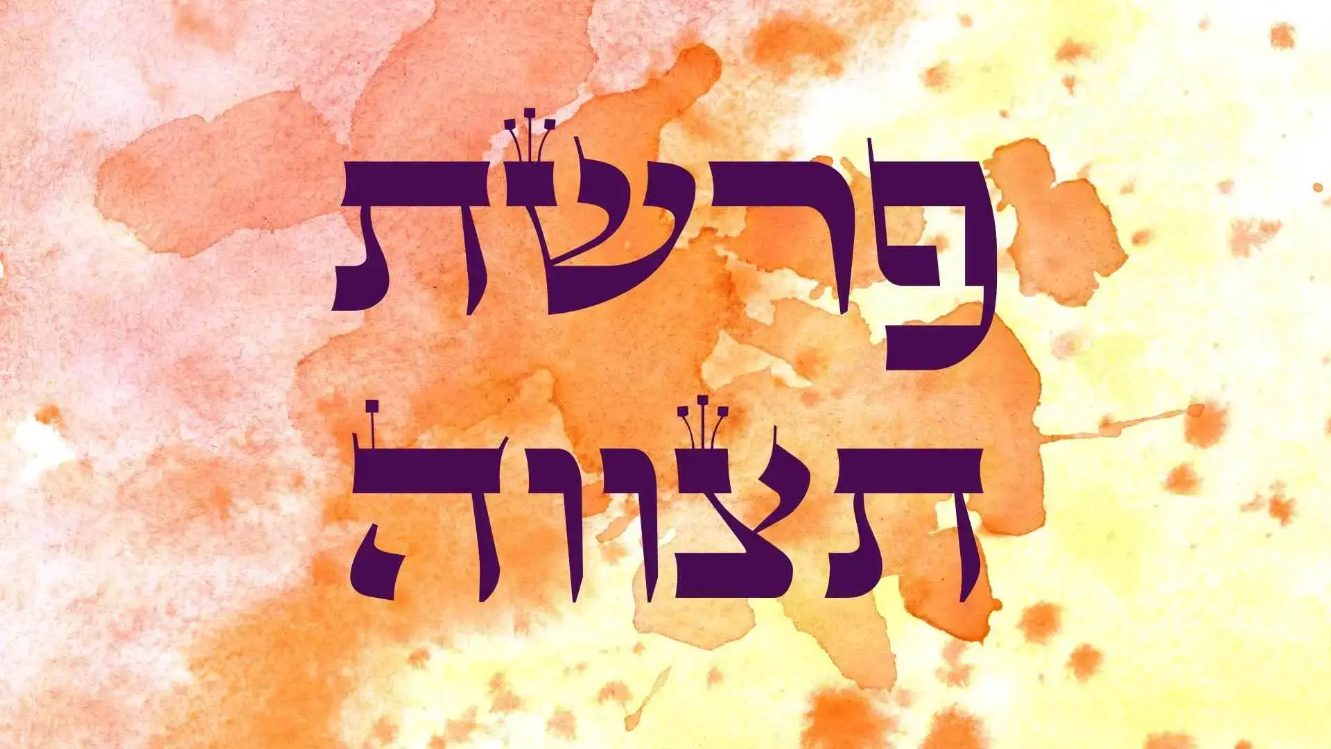 פרשה
