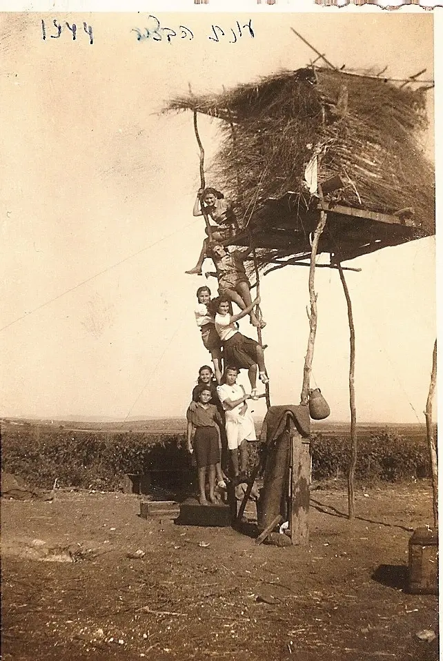 סוכת שמירה בזמן עונת הבציר בגבעת עדה, 1944 סוכת שמירה בזמן עונת הבציר בגבעת עדה, 1944