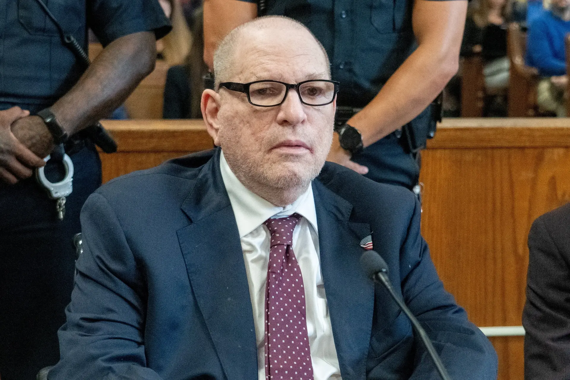 הארוי ויינשטיין הארוי ויינשטיין