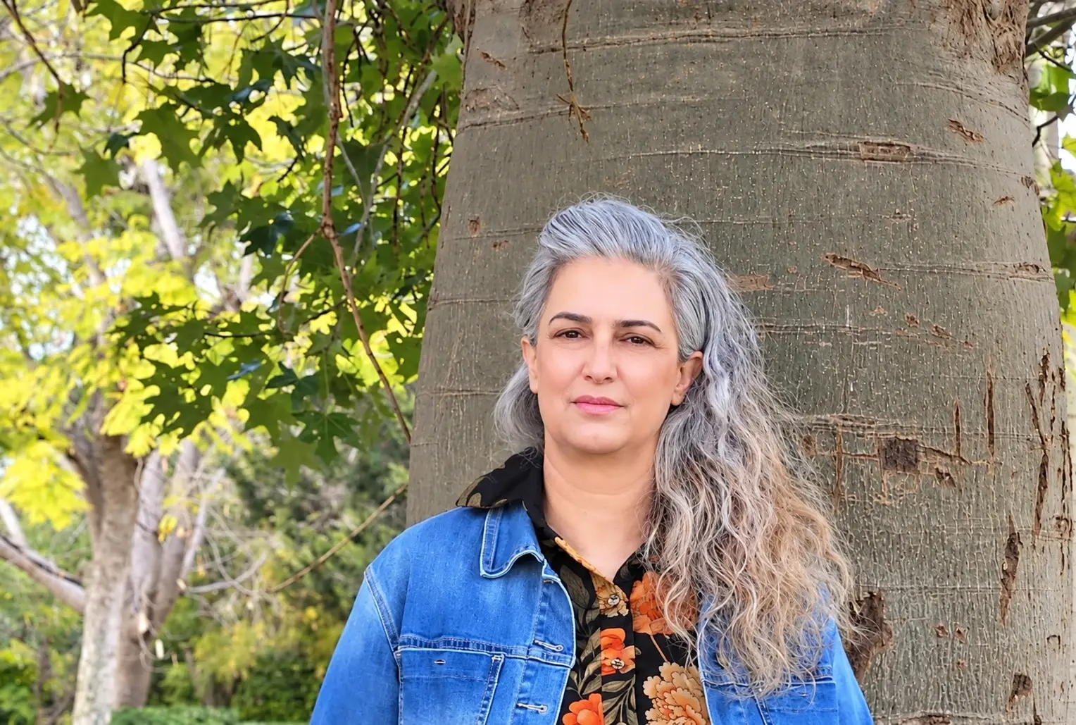 משכית הודסמן משכית הודסמן